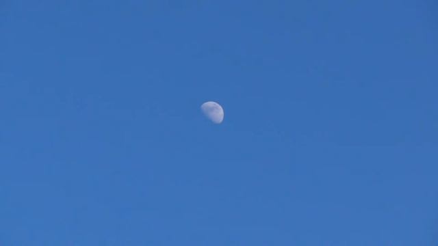 Полет голубей 03.06.2017 (Спортсмены) смотреть онлайн