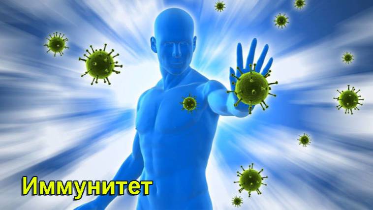 Иммунитет. Чудо иммунной системы человека смотреть онлайн