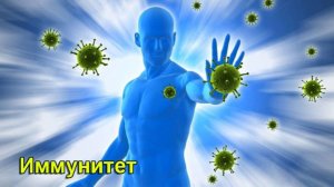 Иммунитет. Чудо иммунной системы человека