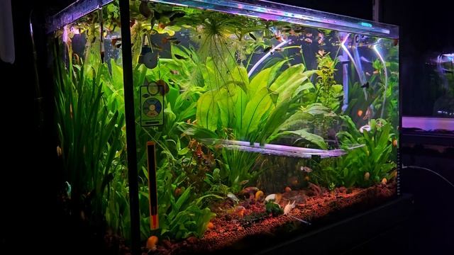 İsta Co2 İndikatör Kurulumu смотреть онлайн