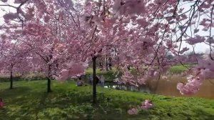 Мы_Ждали_Этого_Целый_Год. Рената Смирнова. 2025