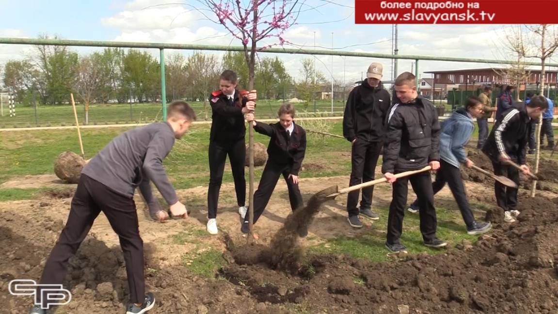 Сад памяти смотреть онлайн