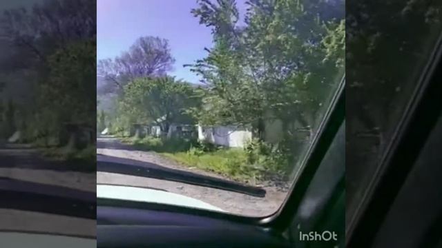 Шымкент 2020 г смотреть онлайн