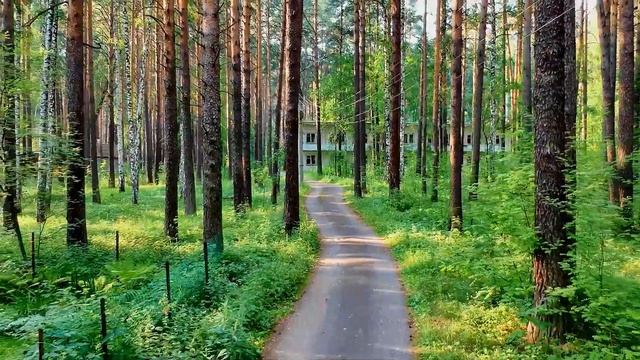 Produce смотреть онлайн