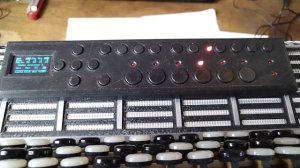 Демонстрация аккомпанемента Lusta Dick