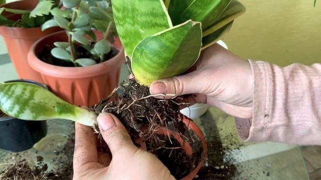 Весенняя уборка смотреть онлайн
