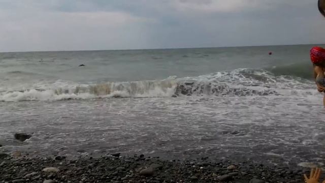 14 ноября 2016 г. смотреть онлайн