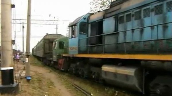 ТЭМ2УМ-597 (Монзалес, Вохтога) / TEM2UM-597 (RUS, Monzales, Vokhtoga)