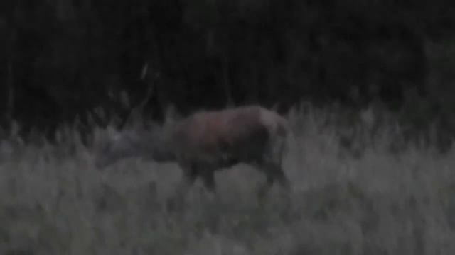 Deer hunter смотреть онлайн