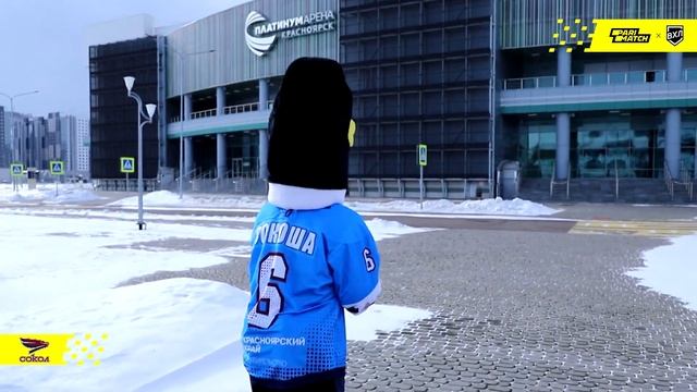 "Сокоша" помогает "Соколу" смотреть онлайн