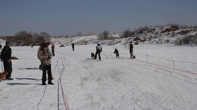 Амурская метель-2014. Просто обзор смотреть онлайн