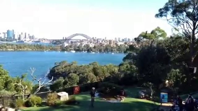 Taronga Zoo - шоу животных 2 смотреть онлайн