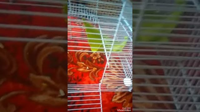 День уборки:)