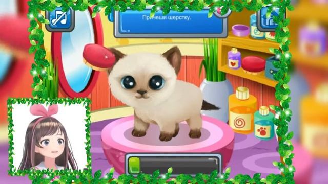 ИГРА ДЛЯ ДЕТЕЙ ПРО ЖИВОТНЫХ - НАРЯЖАЕМ КОТЁНКА!