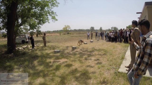 Visit to Jim Corbett National Park (Forest and Environment Module) | IAS Phase-I 2021 Batch | LBSNA смотреть онлайн
