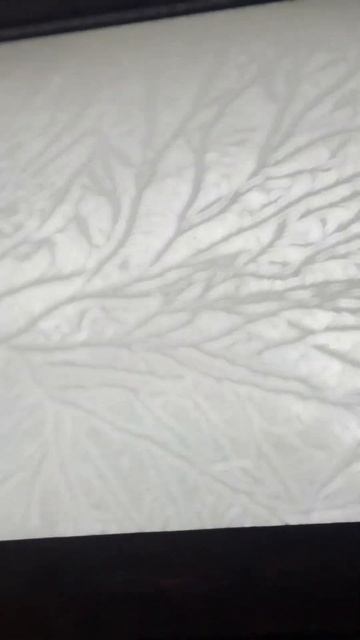 Управление лошадью. Азы. Верховая езда, начальный уровень. Часть 2 смотреть онлайн