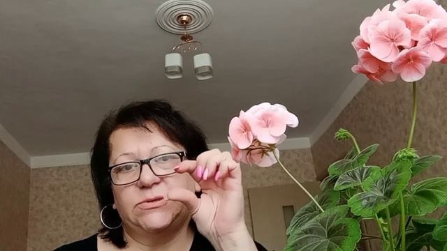 Красота на окне и за окном. смотреть онлайн