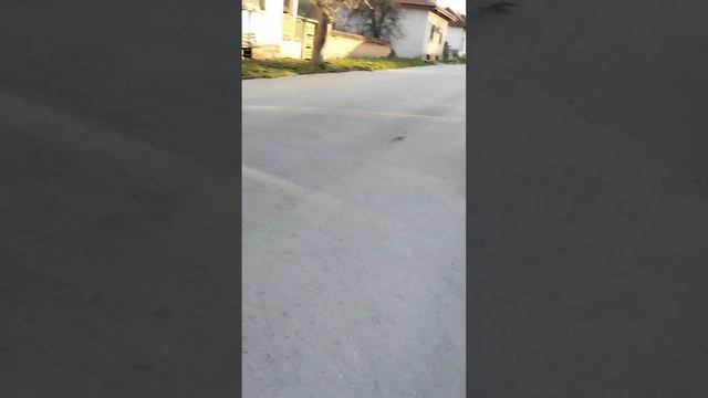 За първи път паднах като куче смотреть онлайн