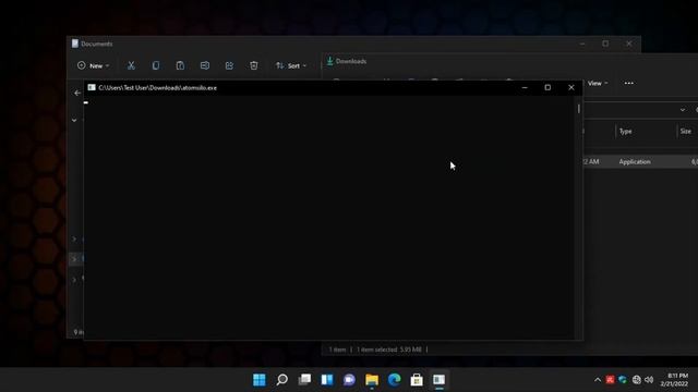 Avira Prime DEFEATED by AtomSilo Ransomware смотреть онлайн