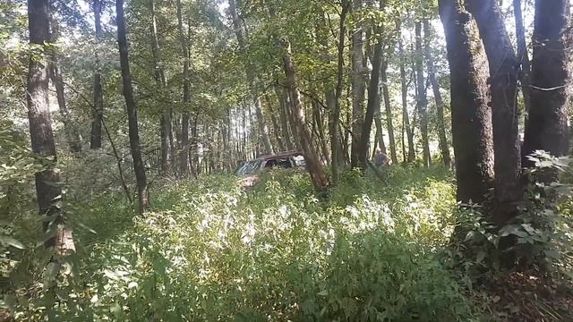 TLC 80 в болотце смотреть онлайн