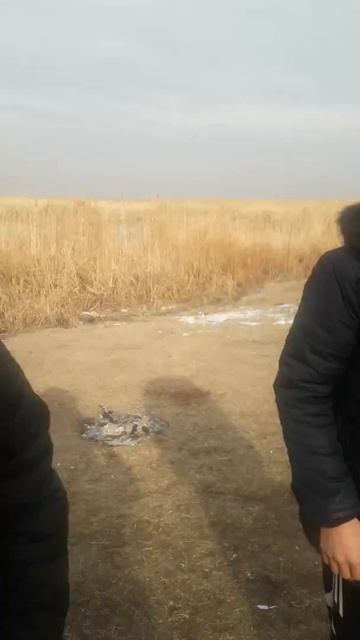 Шардара ауданы Кызылкум ауылы 1989 жылгы жигиттер . смотреть онлайн