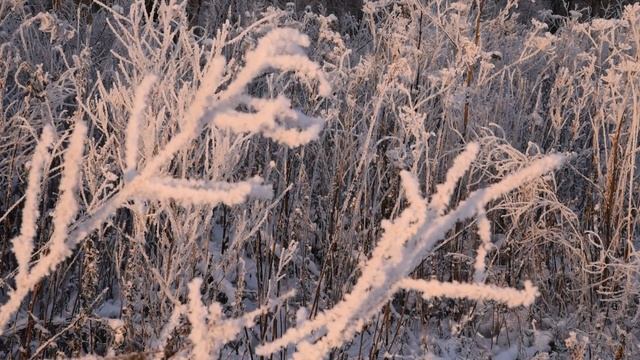 ЗИМНИЙ ВЕТЕР Футаж смотреть онлайн