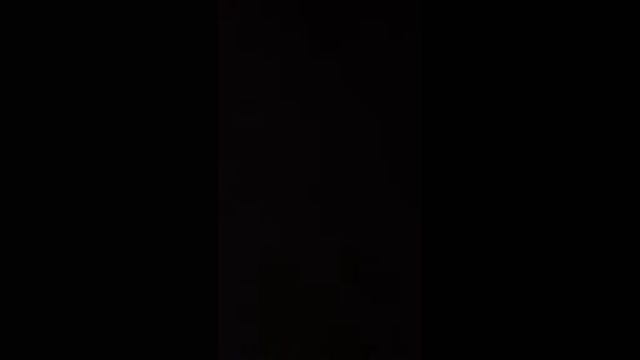 Где должна быть собака