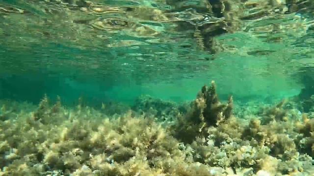 Mandre   Isle Pag   Croatia