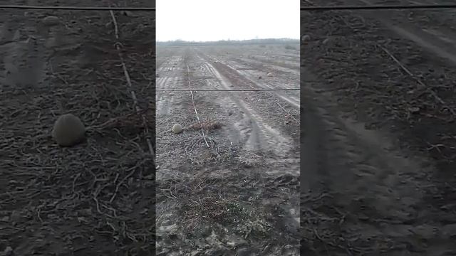 НОУ ХАУ! Своими руками!!!