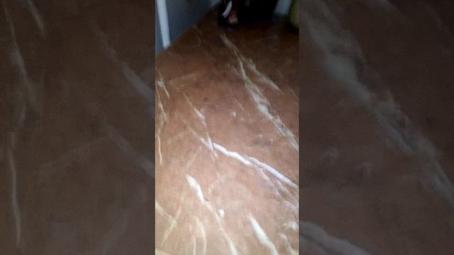 Магия уборки. Миссия "Выполнима" смотреть онлайн