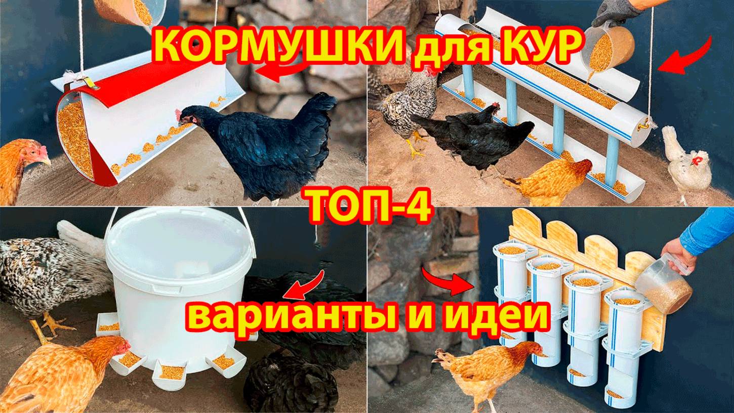 Кормушки для кур подвесные ТОП-4 варианта смотреть онлайн