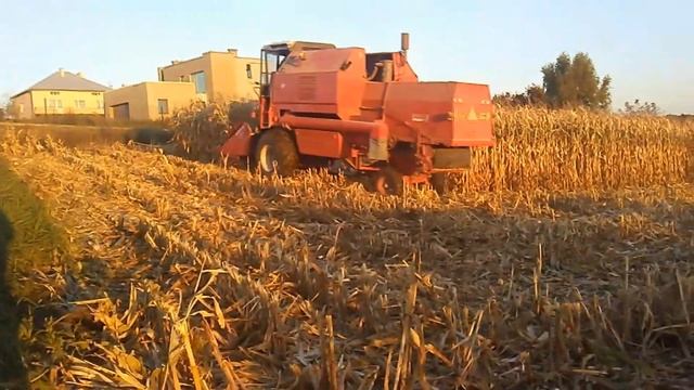 Koszenie kukurydzy 2018 Cześć 1 ~Podkarpacie~ Bizon w akcji???.. смотреть онлайн