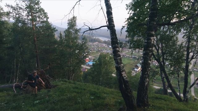 СТИЛЬ ПТУШКИНА смотреть онлайн