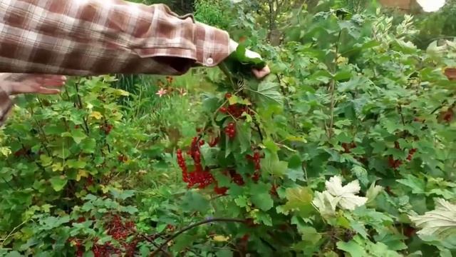 Holiday mood смотреть онлайн