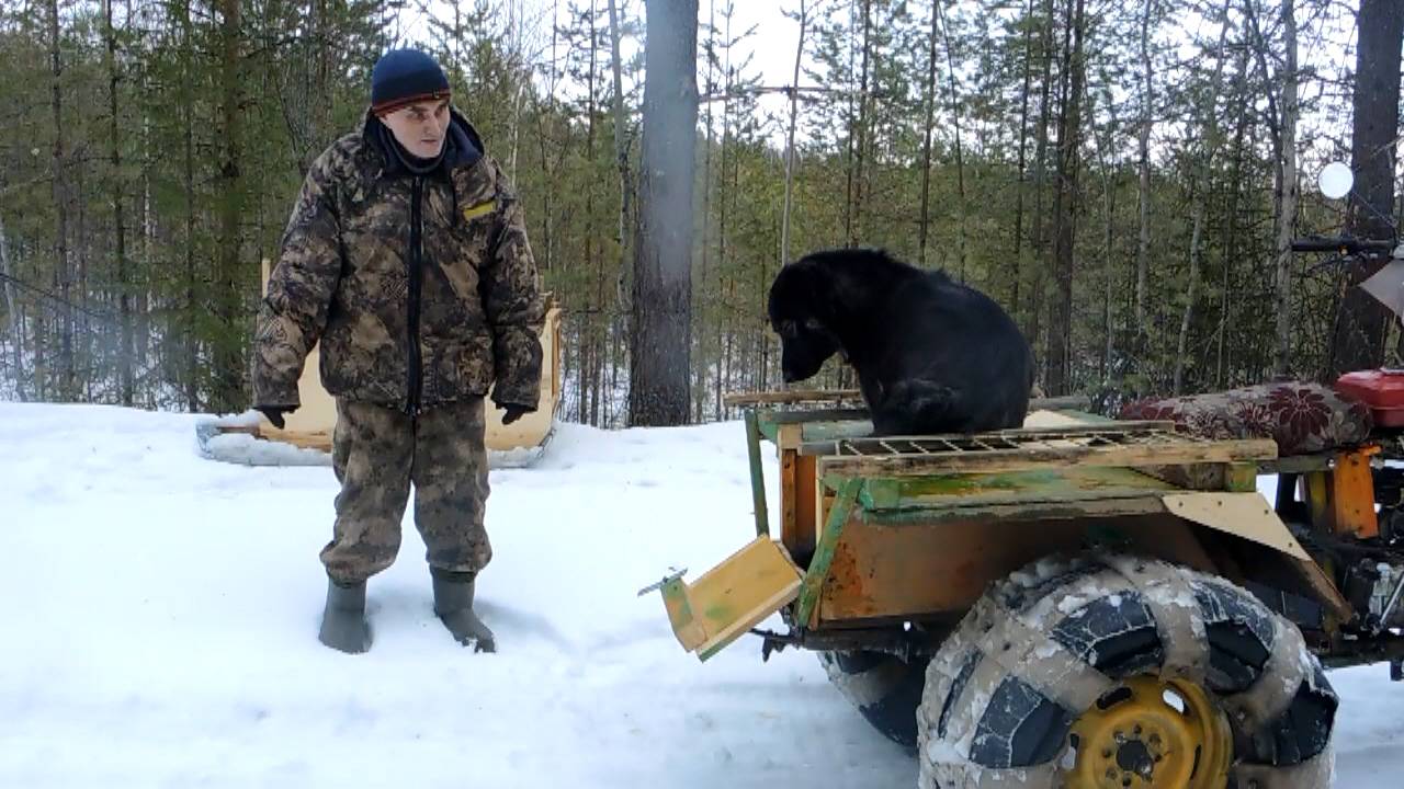 По болоту на снегоходе. Трёхколёсный самодельный снегоход. смотреть онлайн