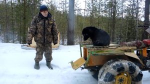 По болоту на снегоходе. Трёхколёсный самодельный снегоход.