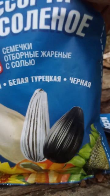 3 вида семечек. Тест