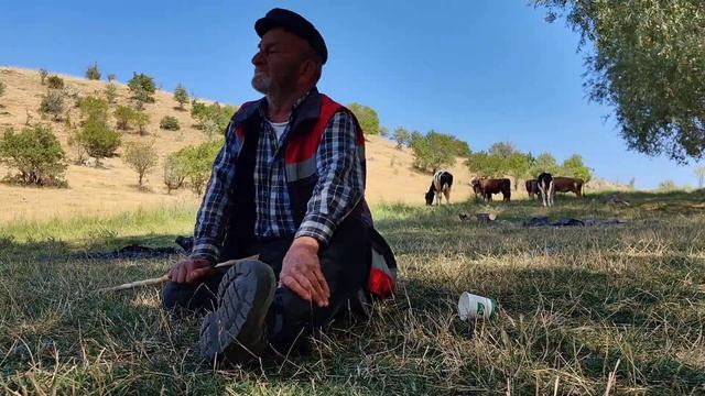 Ayaş'lı Çobanın Hikayesi | Ankara смотреть онлайн