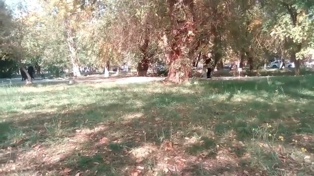 Бабушка-соседка  Рослякова рассказала о нём и его семье (Реальное интервью)