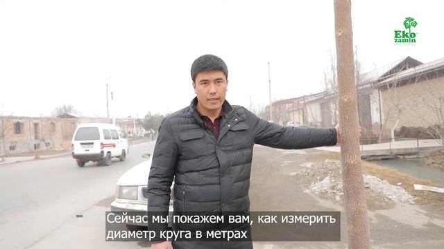 Йўл четида экилган павловния! смотреть онлайн