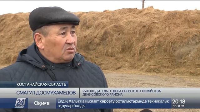 Аграрии Костанайской области не могут рассчитаться с Продкорпорацией смотреть онлайн
