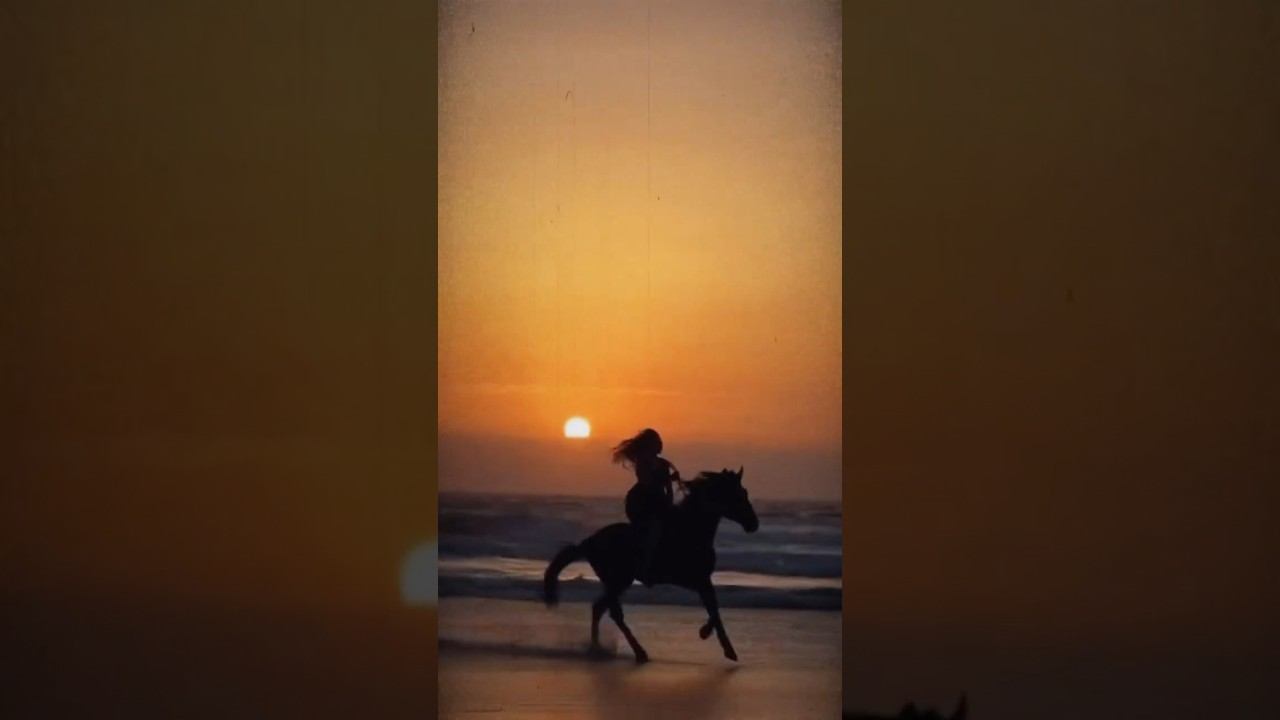 ÀNKA - Красное солнце | Snippet 2.0