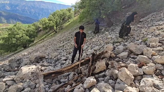 Nomadic Life: A Family's Trip To The Mountain To Collect Firewood