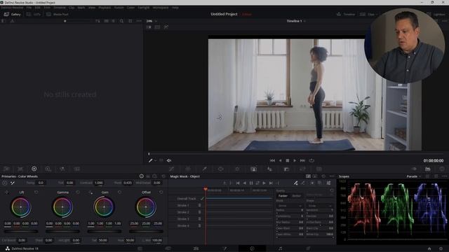 Επεξεργασία βίντεο με το DaVinci Resolve - Επιλογή αντικειμένου με το Magic Mask смотреть онлайн