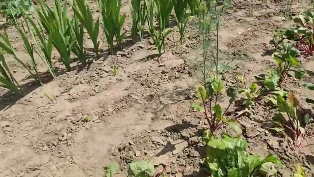 який город був а який став