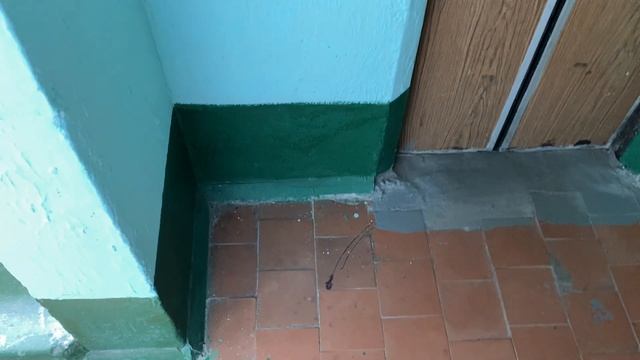 (036.0/227) Лифт МЛЗ 1982 г. 320 кг. / фестивальный бульвар 15а подъезд 2 смотреть онлайн