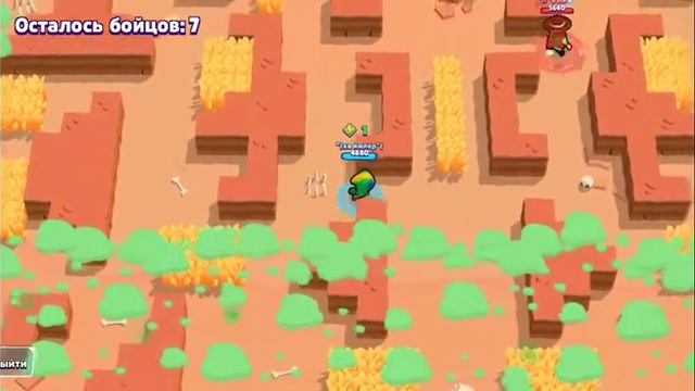 Наконец новый ролик по бравлу.Деф от тары в конце катки. смотреть онлайн