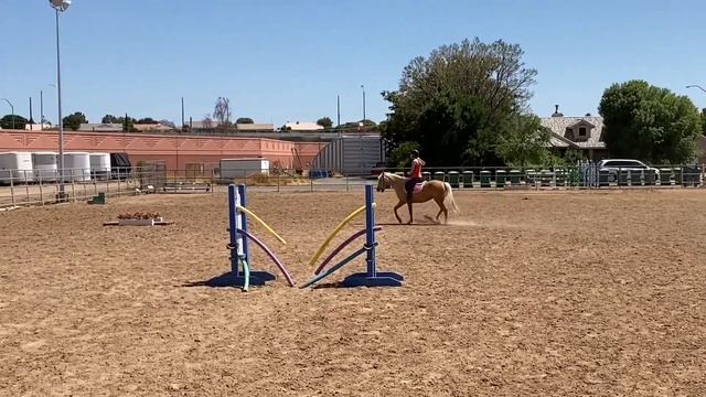 ACMC Virtual Show May 2020 Jane Herrera & Smart Lil Mist (Misty) WT Freestyle смотреть онлайн
