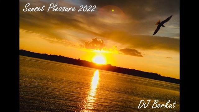 DJ Berkut - Sunset Pleasure 2022 (nudisco) смотреть онлайн