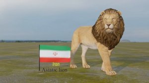 National Animals of Countries | 3d Animation